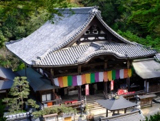 岡寺